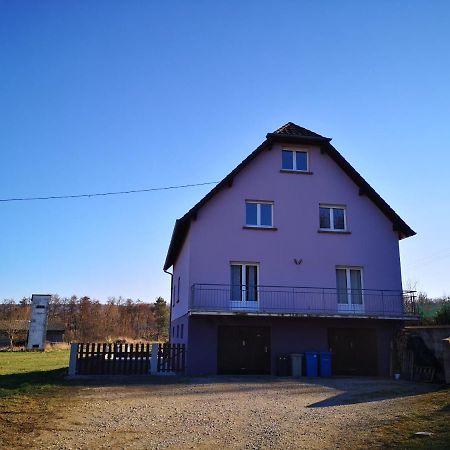 A L'Oree Du Bois Romanswiller 外观 照片